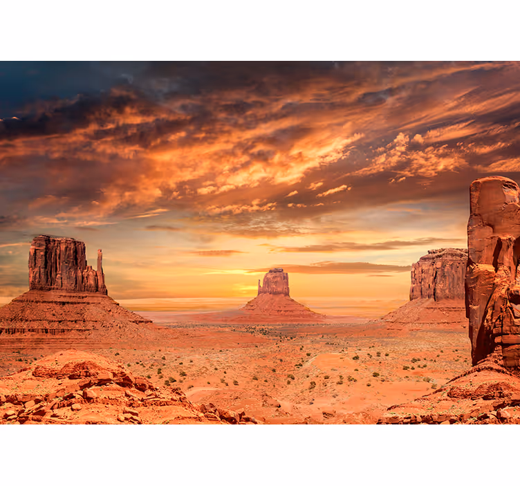 Fotomurale paesaggio del deserto - TenStickers