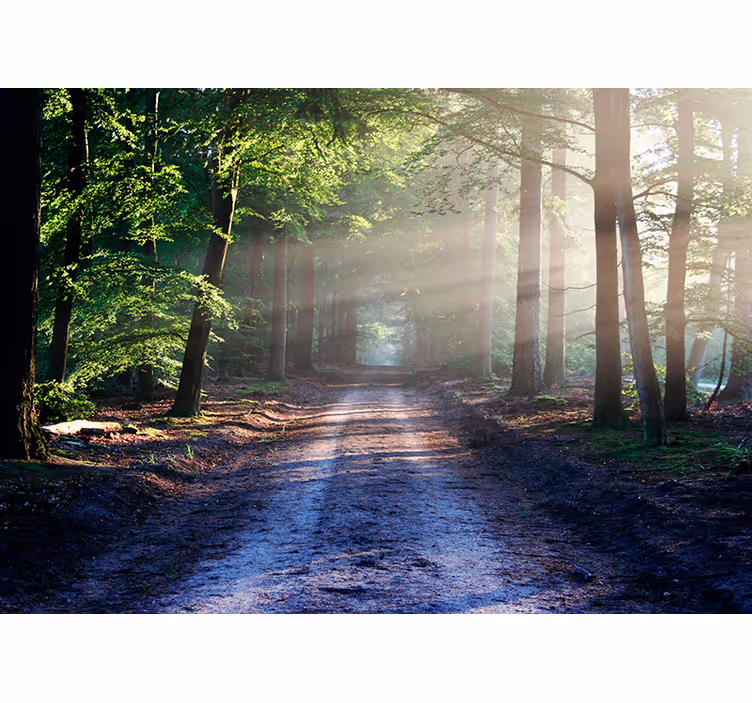 Fotomurale di paesaggio strada con raggi solari - TenStickers