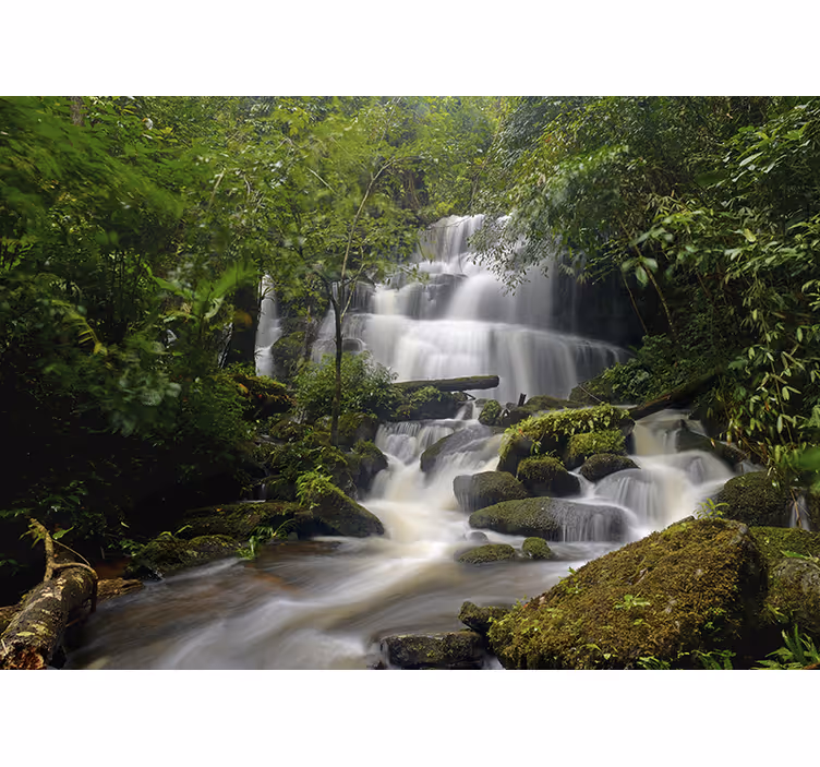 Fotomurale foresta e cascate - TenStickers