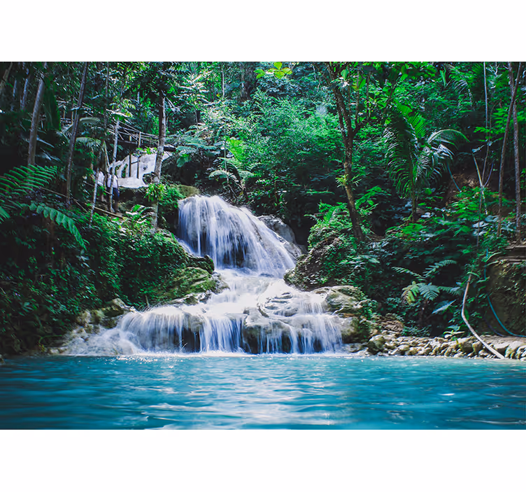 Fotomurale di paesaggio con cascata ai tropici - TenStickers