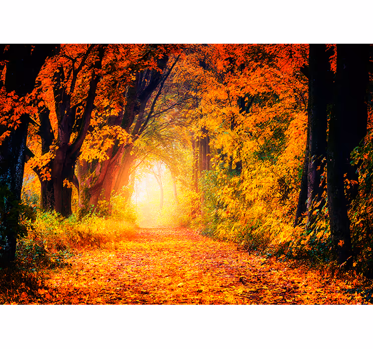 Fotomurale con foresta specchio della natura - TenStickers