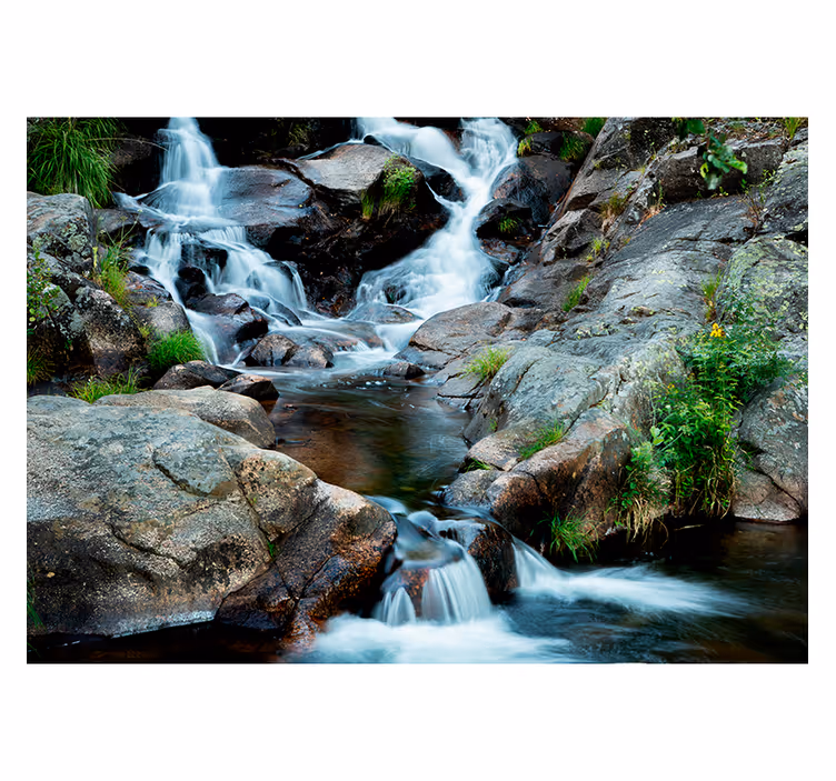 Fotomurale cascate con torrente nel bosco - TenStickers
