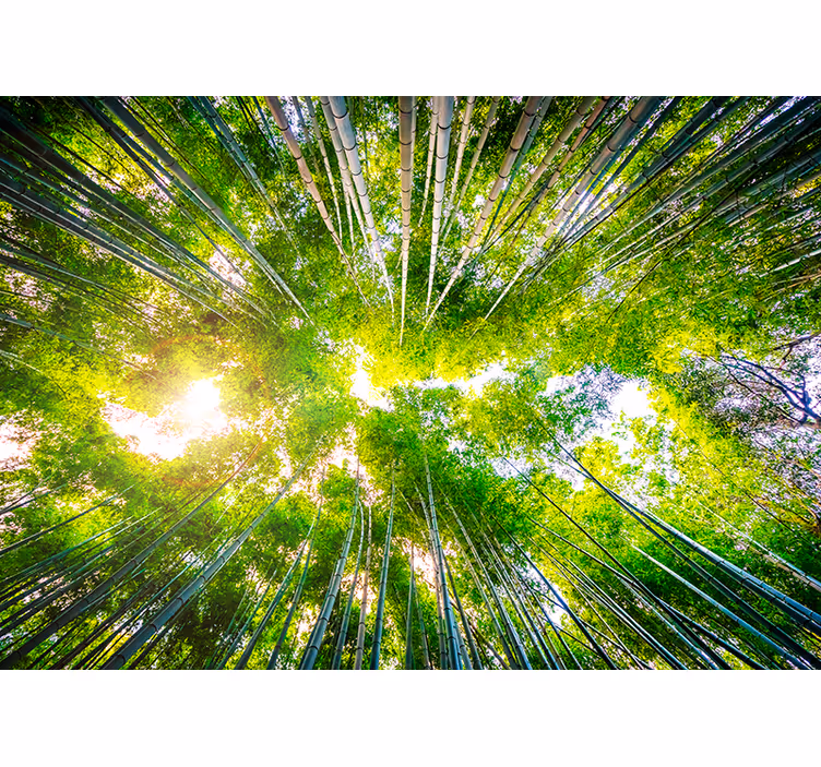 Fotomurale di paesaggio con giardino orientale - TenStickers