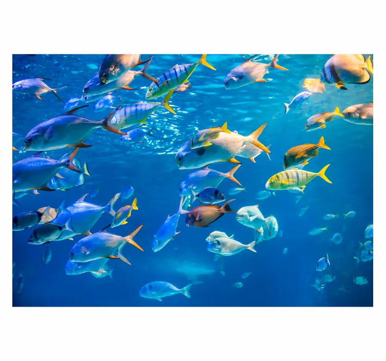 Fotomurale animali Scuola di mare - TenStickers