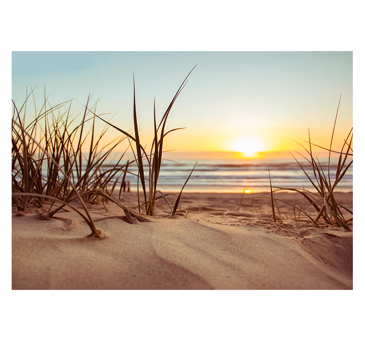 Fotomurale paesaggi sereno tramonto sulla spiaggia - TenStickers