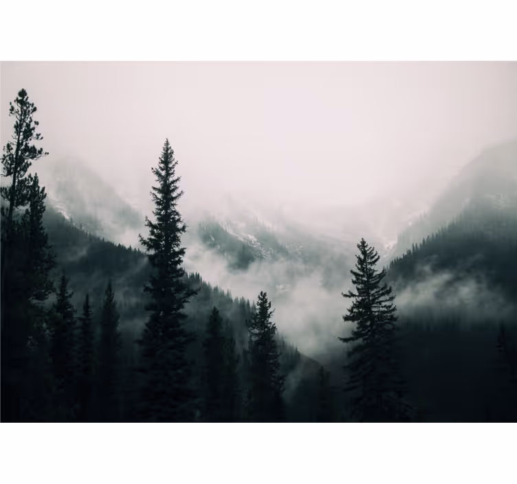 Fotomurale foresta paesaggio montano nebbioso - TenStickers