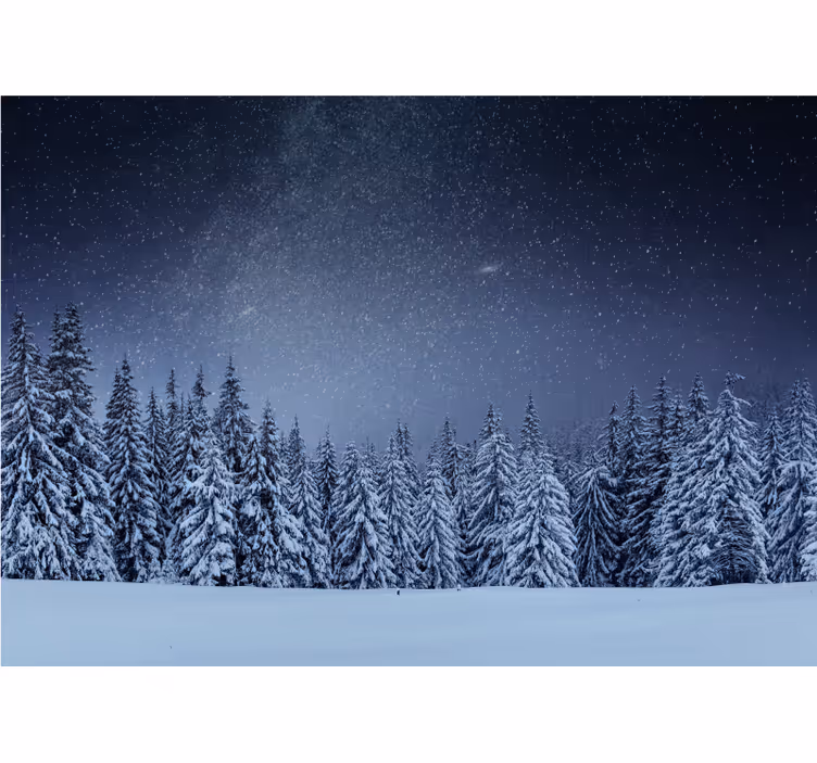 Fotomurali natura paesaggio di pini innevati - TenStickers