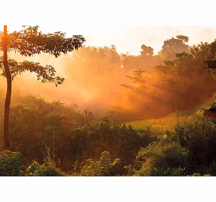 Fotomurali natura paesaggio boscoso tranquillo - TenStickers