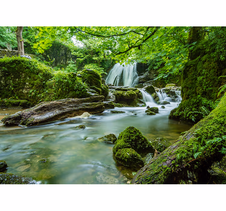 Fotomurali natura ruscello boscoso tranquillo - TenStickers
