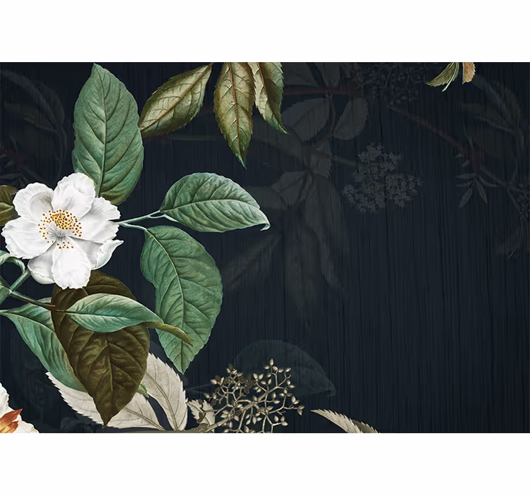 Fotomurale fiori elegante fiore bianco - TenStickers