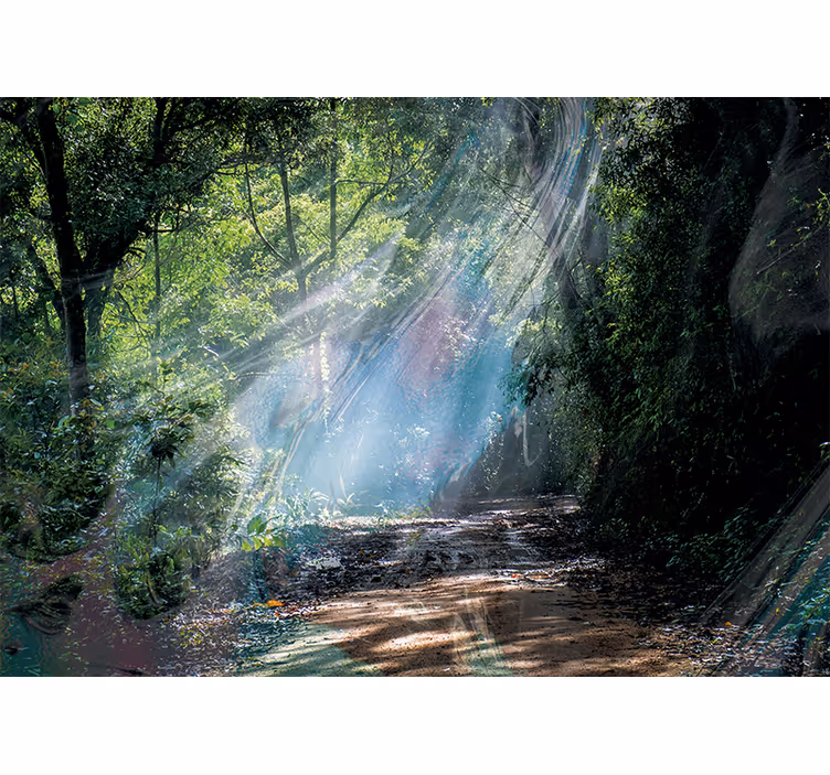 Fotomurali natura sentiero radioso nel bosco - TenStickers