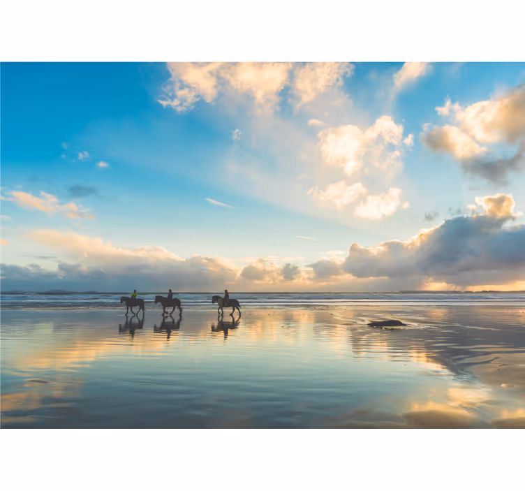 Fotomurale paesaggi cavalieri al mare - TenStickers