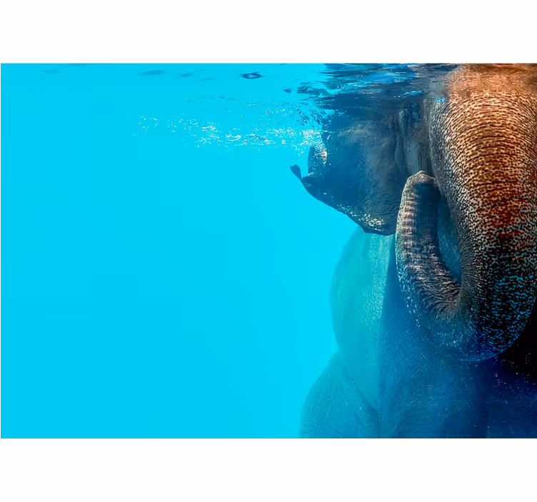 Fotomurale animali maestoso elefante sottomarino - TenStickers
