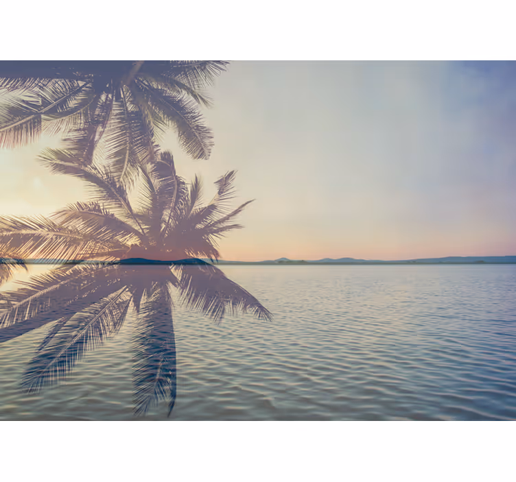 Fotomurali natura silhouette di palma serena - TenStickers