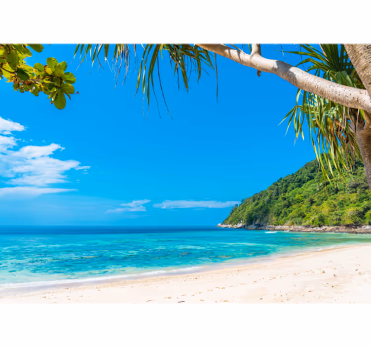 Fotomurale mare paesaggio costiero tropicale - TenStickers