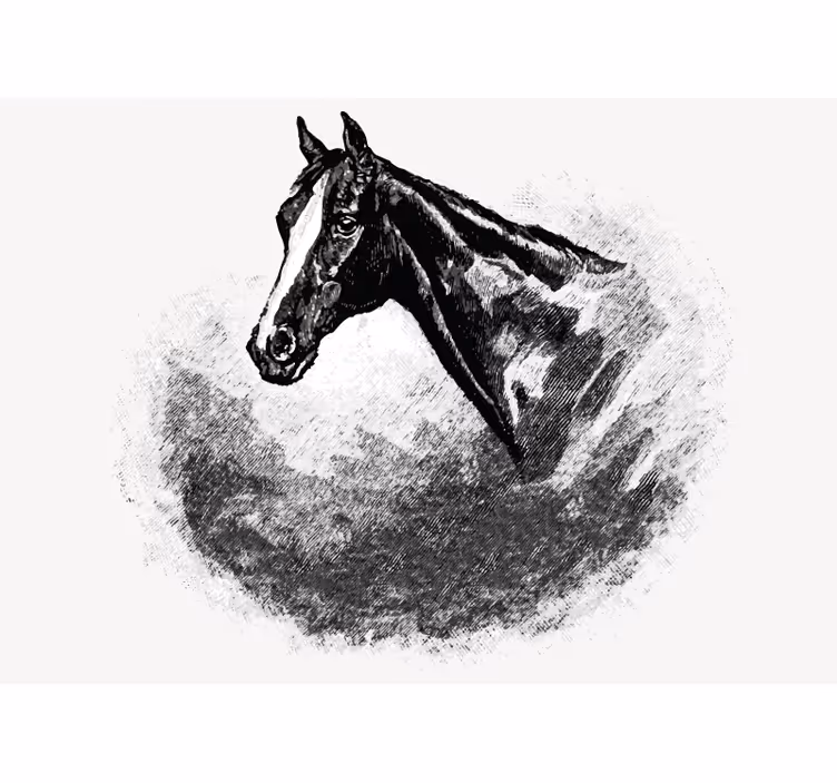 Fotomurale animali testa di stallone - TenStickers