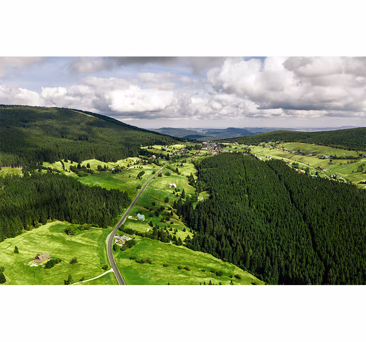 Fotomurale paesaggi colline verdi e lussureggianti - TenStickers