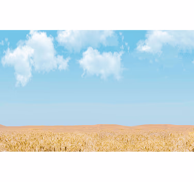Fotomurale paesaggi cielo e grano - TenStickers