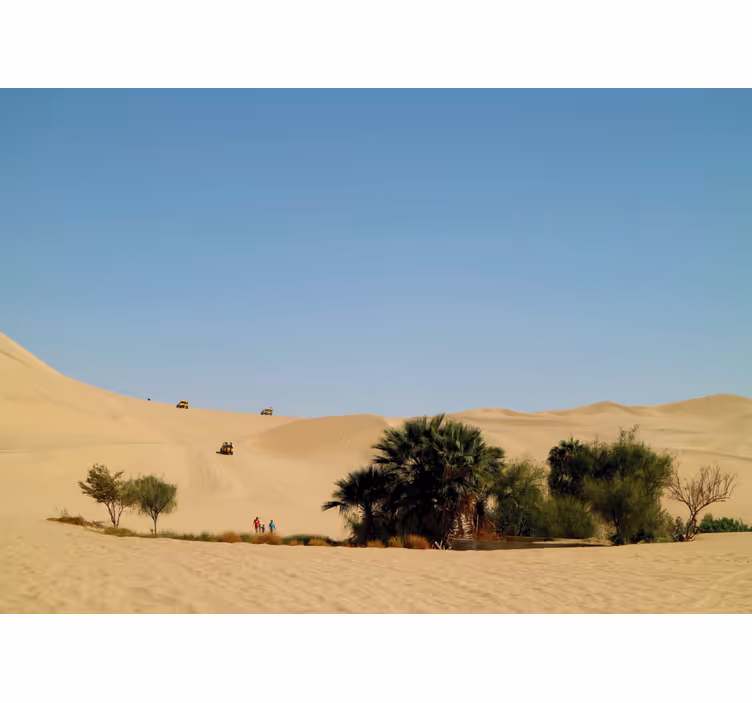 Fotomurale deserto oasi di dune sabbiose - TenStickers