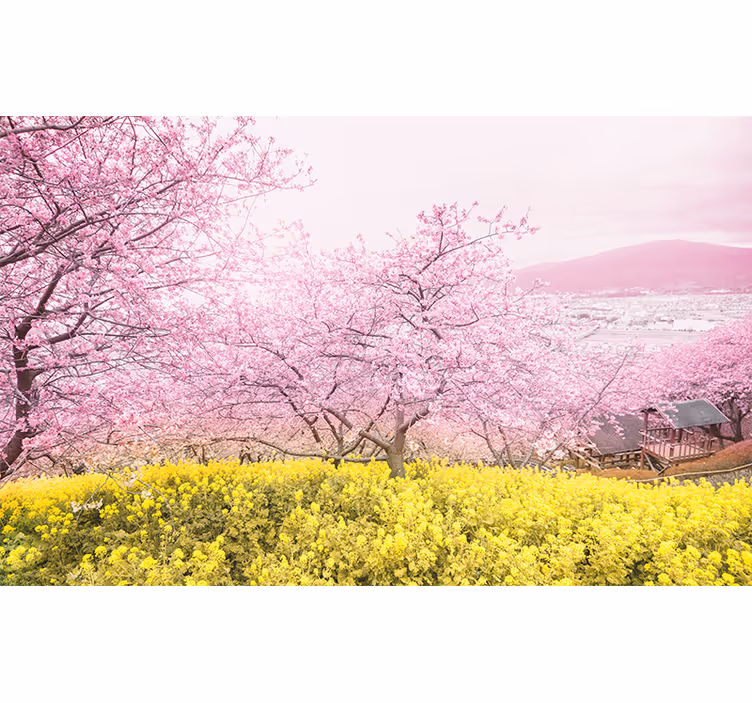 Fotomurale fiori tranquillità dei fiori di ciliegio - TenStickers