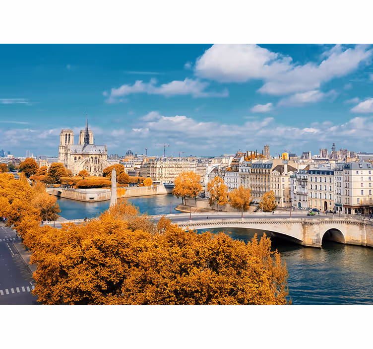Fotomurale parigi vista autunnale di notre dame - TenStickers