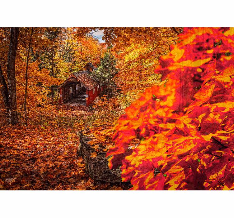 Fotomurale paesaggi paesaggio cottage d'autunno - TenStickers