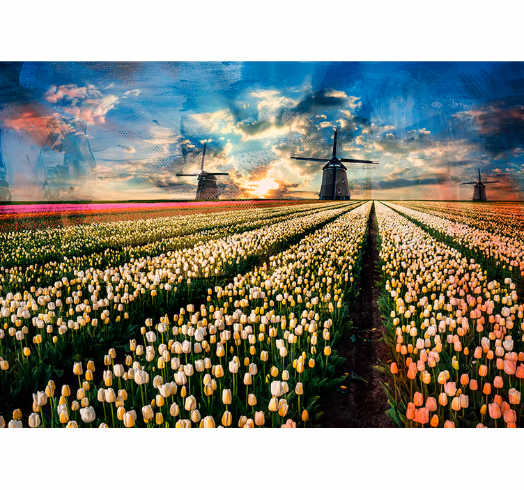 Fotomurale fiori alba nel campo di tulipani - TenStickers