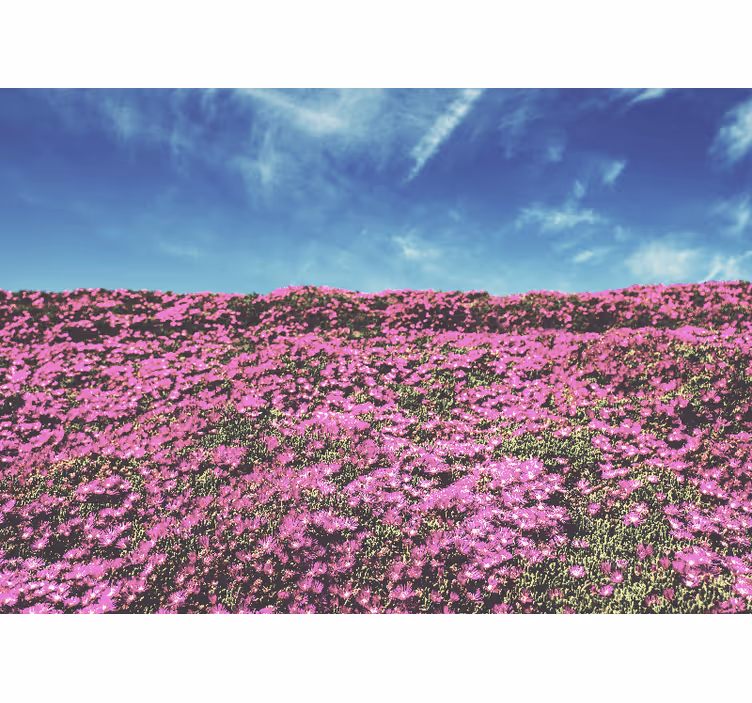 Fotomurale fiori fiori rosa intensi - TenStickers