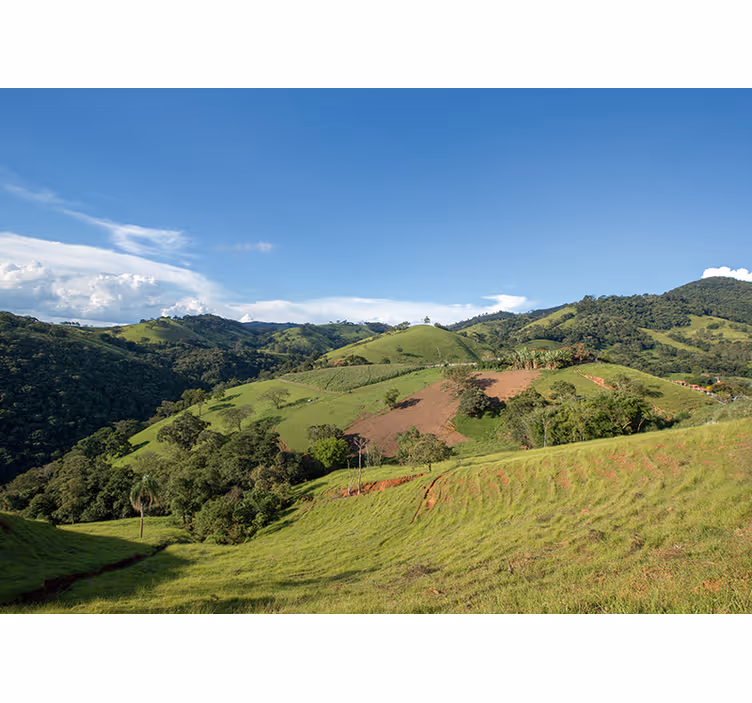Fotomurale paesaggi colline verdeggianti - TenStickers