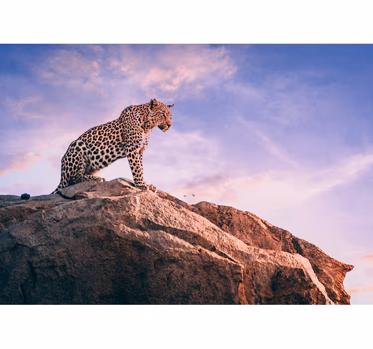Fotomurale animali leopardo sulla roccia - TenStickers