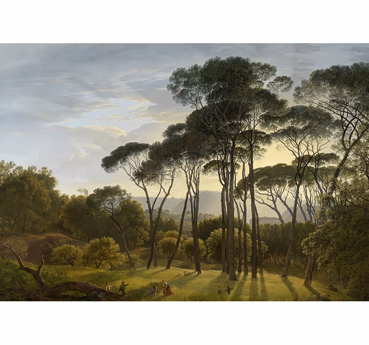 Fotomurali natura raggi di sole della foresta - TenStickers