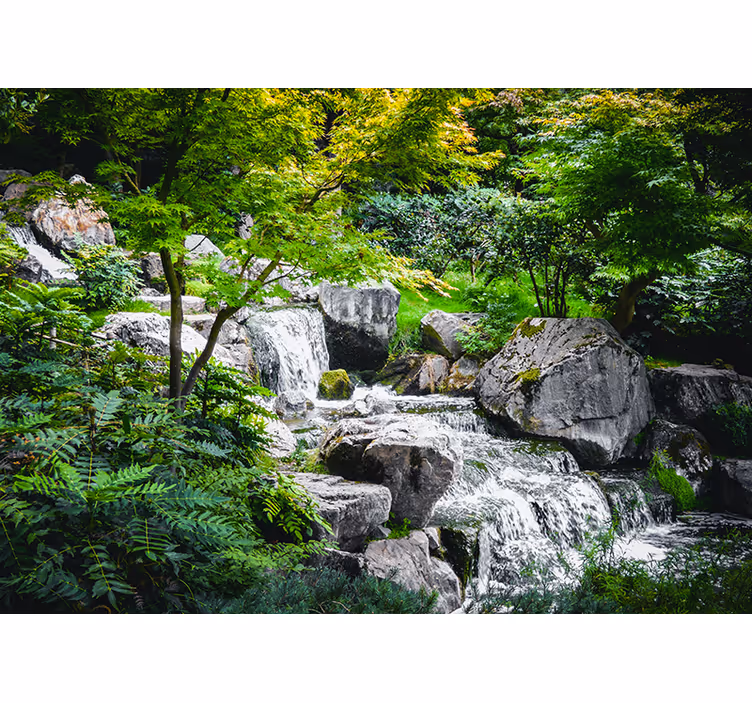 Fotomurali natura rocce di un ruscello fluttuante - TenStickers