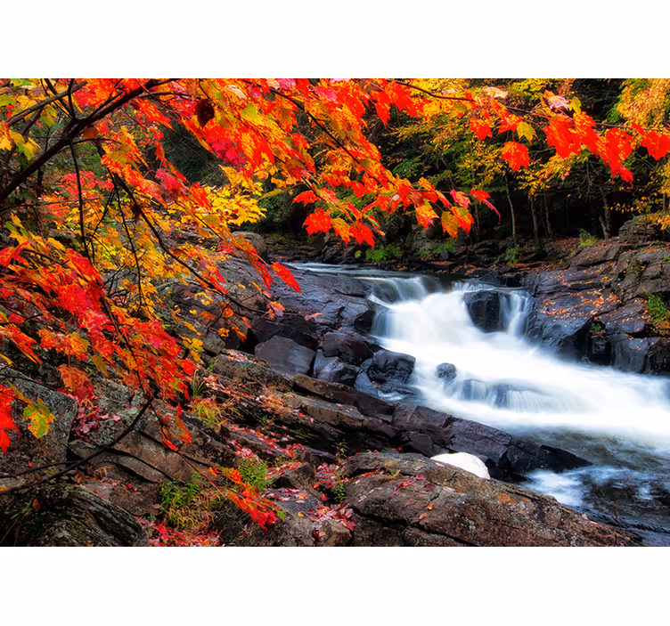 Fotomurale foresta paesaggio autunnale con cascata - TenStickers