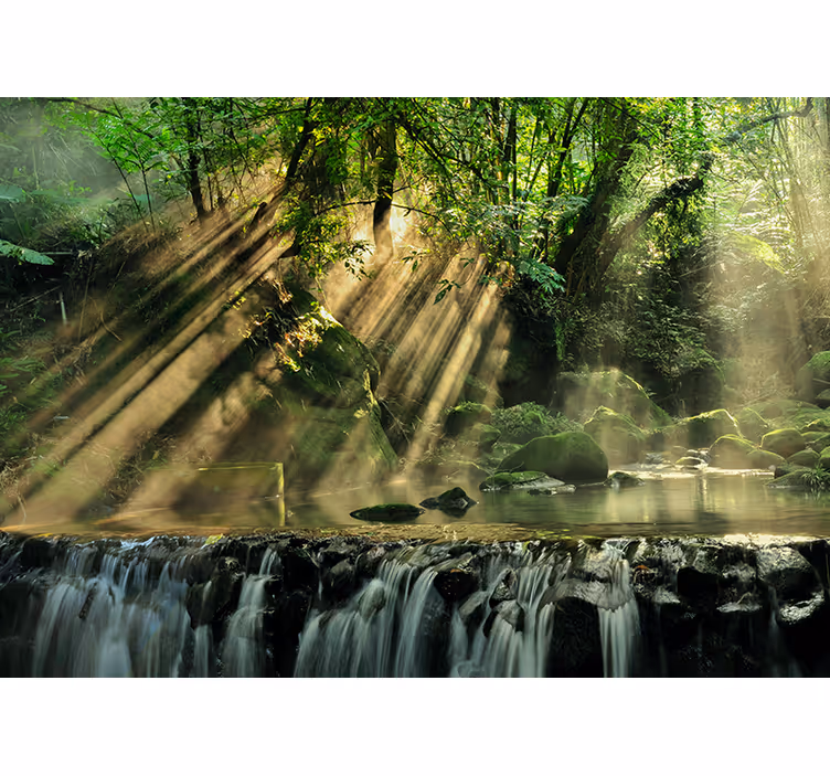 Fotomurali natura scenario sereno della cascata - TenStickers