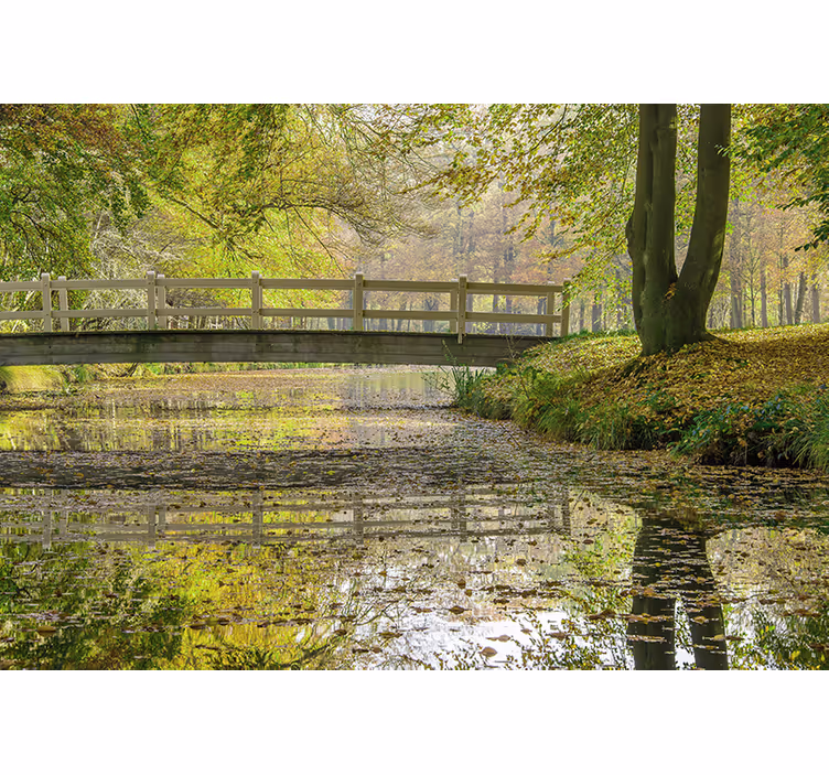 Fotomurali natura ponte sul fiume sereno - TenStickers