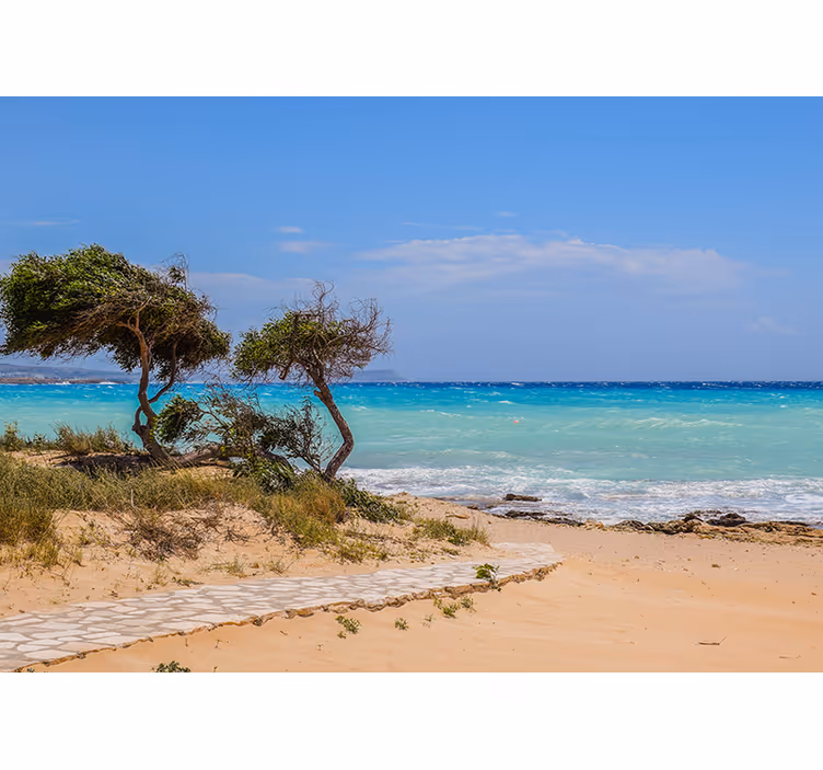Fotomurale mare percorso scena serena - TenStickers
