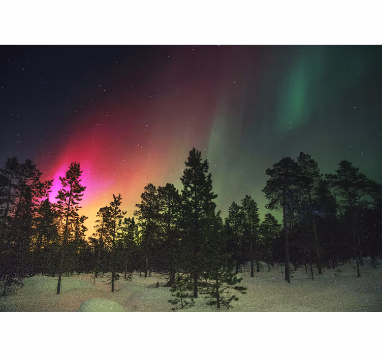 Fotomurali natura spettacolo dell'aurora boreale - TenStickers
