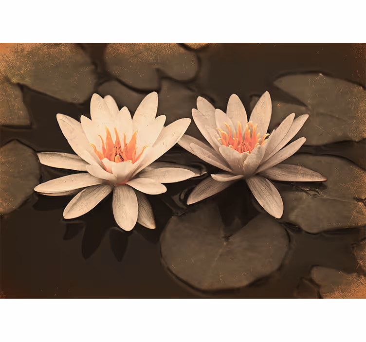Fotomurale papaveri coppia di fiori di loto - TenStickers