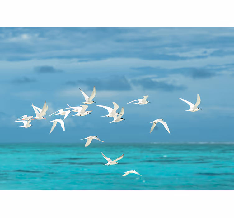 Fotomurali natura uccelli in volo paesaggistici - TenStickers