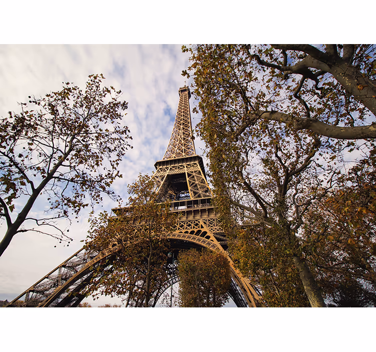 Fotomurale parigi prospettiva scenica torre eiffel - TenStickers