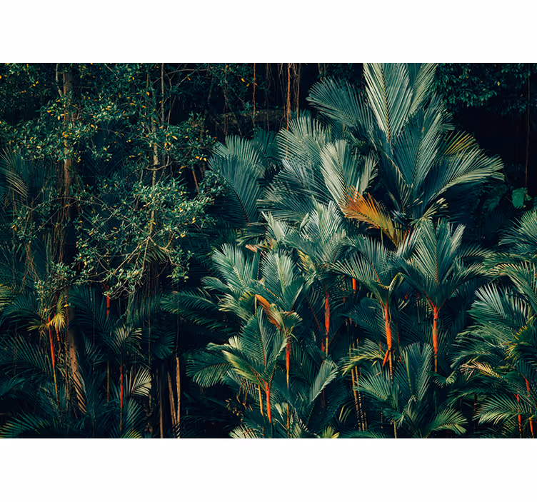 Fotomurali natura fogliame di palma esotico - TenStickers