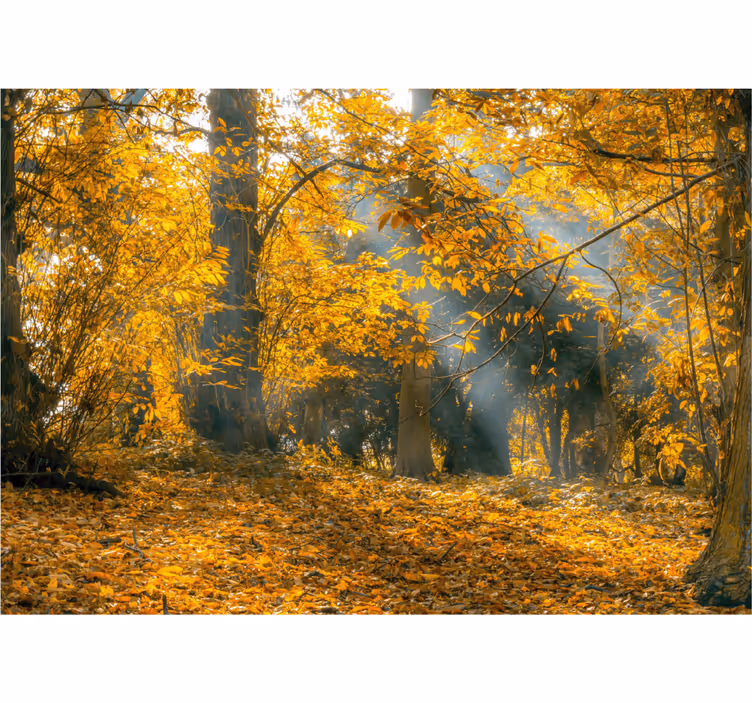 Fotomurali natura alberi d'autunno dorato - TenStickers