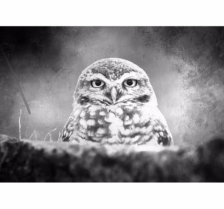 Fotomurale animali ritratto di gufo maestoso - TenStickers