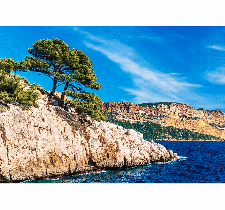 Fotomurali natura paesaggio costiero di pini - TenStickers