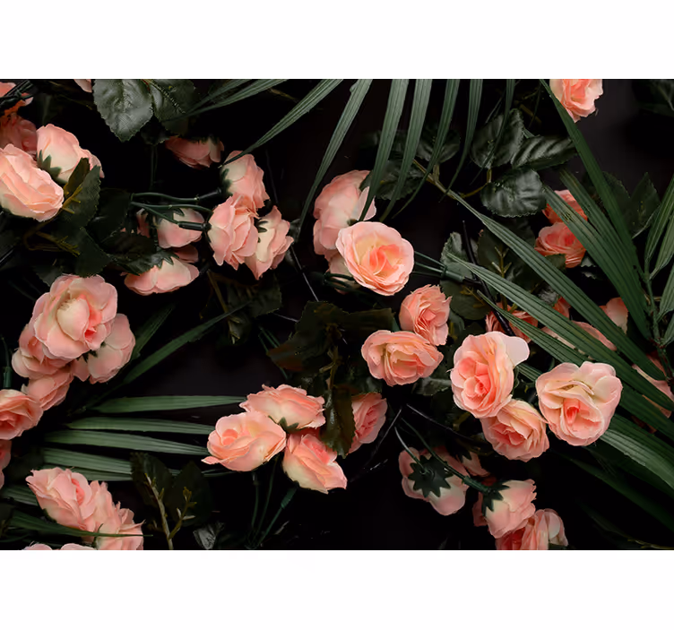 Fotomurale fiori rose rosa tenui - TenStickers