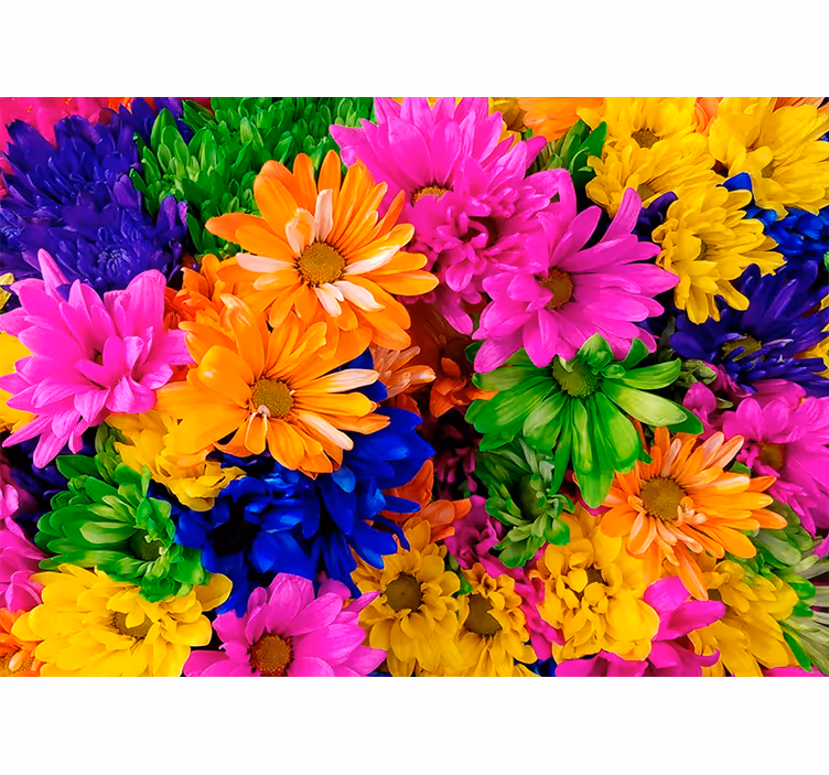 Fotomurale fiori composizione botanica colorata - TenStickers