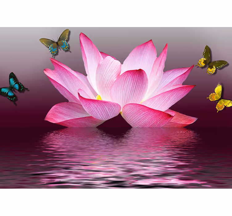 Fotomurale fiori tranquillità di fiori di loto - TenStickers