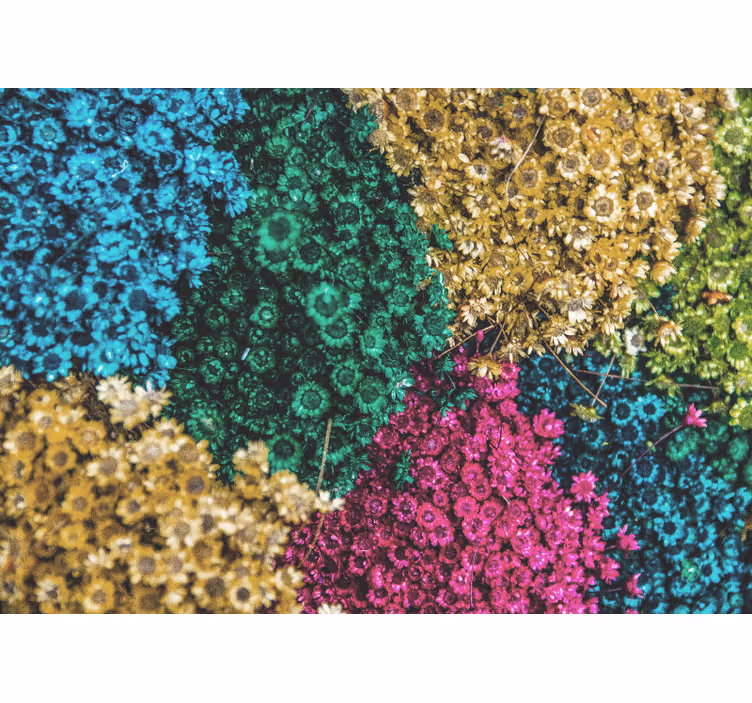 Fotomurale fiori motivi floreali colorati - TenStickers