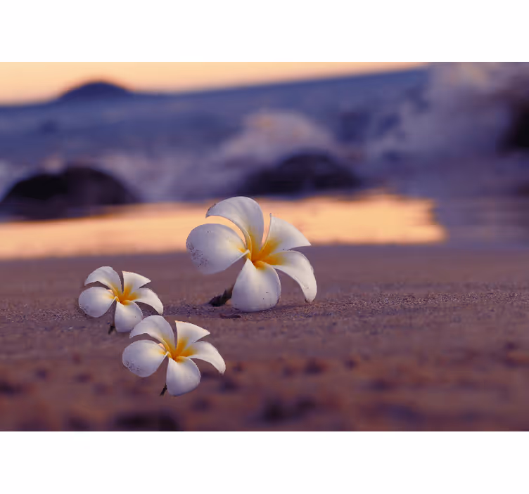 Fotomurale papaveri trio di fiori tropicali - TenStickers