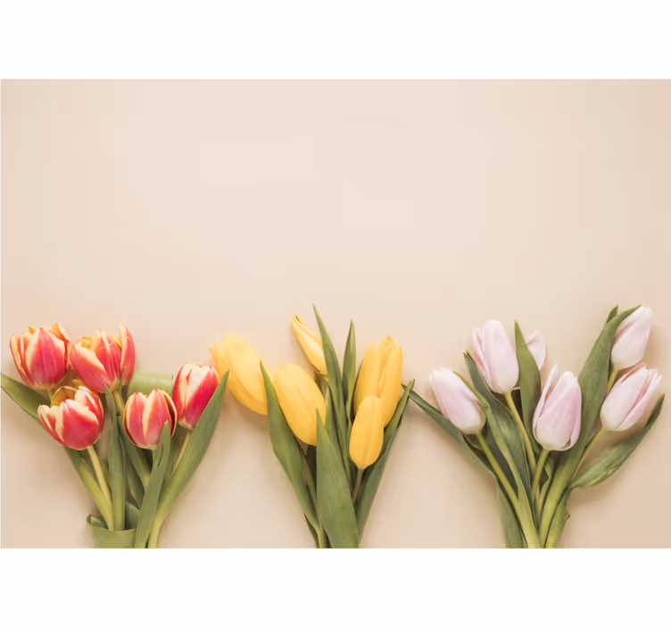 Fotomurale fiori composizione di tulipani colorati - TenStickers